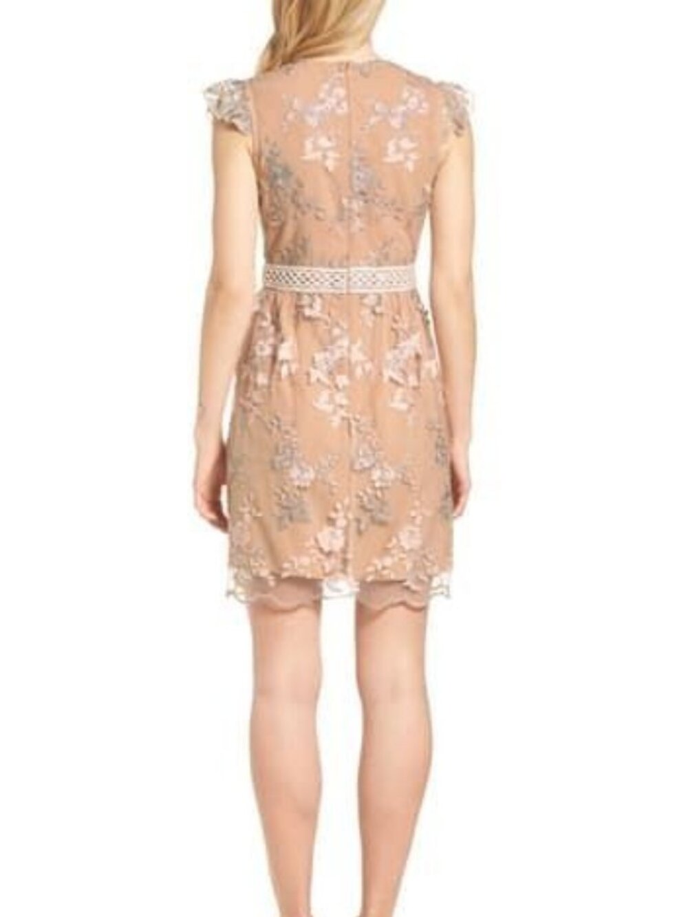 Dex Embroidered Sheer Ruffle Sleeve Mini Dress - Picture 2 of 12